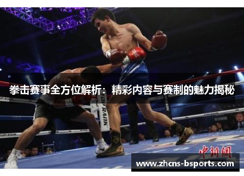 拳击赛事全方位解析：精彩内容与赛制的魅力揭秘