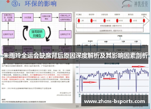 朱雨玲全运会缺席背后原因深度解析及其影响因素剖析