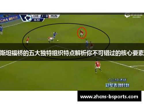 斯坦福桥的五大独特组织特点解析你不可错过的核心要素