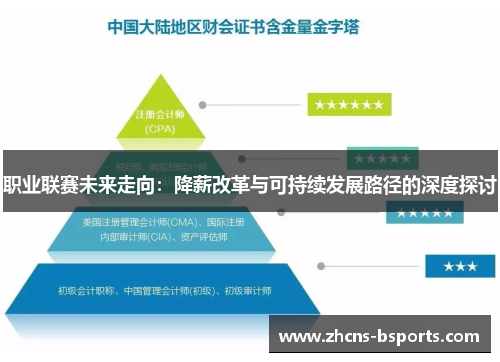 职业联赛未来走向：降薪改革与可持续发展路径的深度探讨
