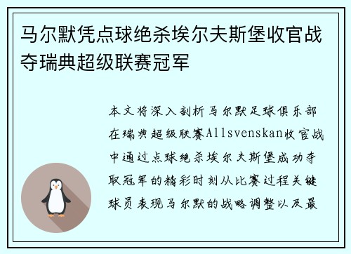 马尔默凭点球绝杀埃尔夫斯堡收官战夺瑞典超级联赛冠军