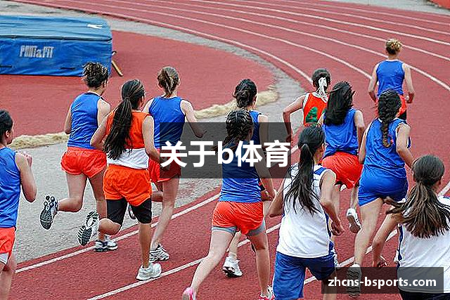 关于b体育